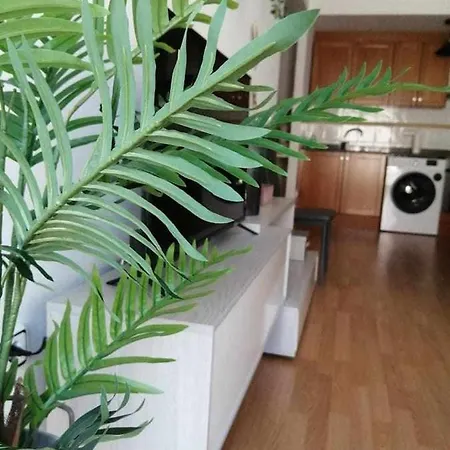 Ojos De Norah Boutique *