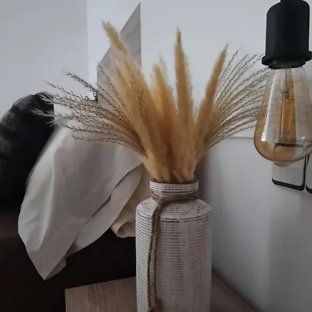 Ojos De Norah Boutique